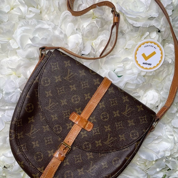 Louis Vuitton Brown Crossbody Bag - Picture 3 of 7